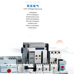 TAS-DYCP低壓類框架和塑殼斷路器和雙電源及保護(hù)開(kāi)關(guān)